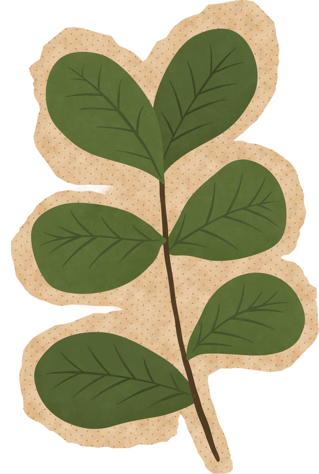 Magazine Coutout Leaf